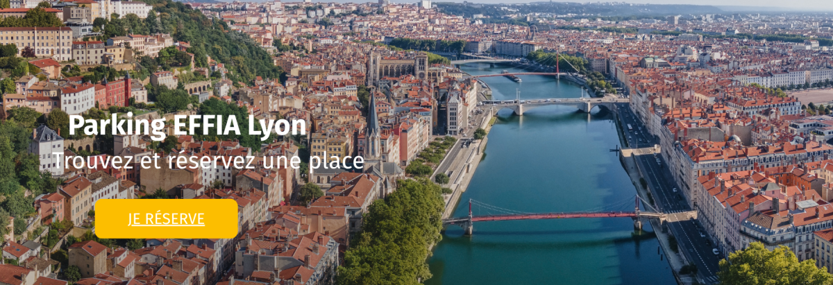 Bannière Lyon