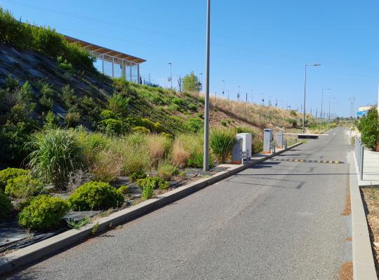 Voie de sortie du dépose-minute aménagée le long d'un talus végétalisé avec barrières de contrôle.