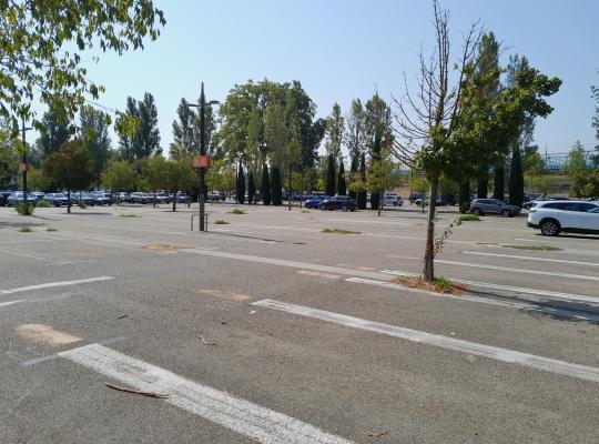 Emplacements de stationnement aérien délimités au sol et zone arborée du parking EFFIA P1.