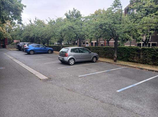 Emplacements de stationnement extérieurs bordés d'arbres sur le parking P2 de l'hôpital.