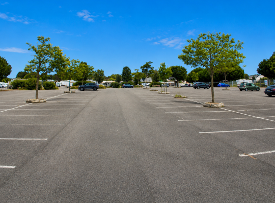 Emplacements de stationnement matérialisés au sol et allée centrale bordée de jeunes arbres.