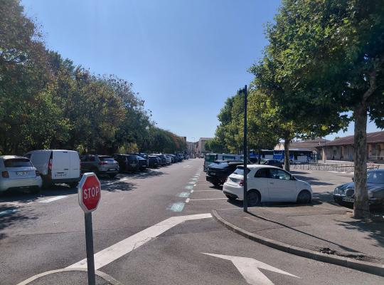 Allée de circulation bordée d'arbres et de véhicules garés dans un parking