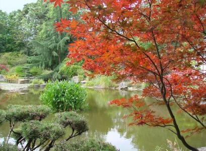 Jardin Ile de Versailles